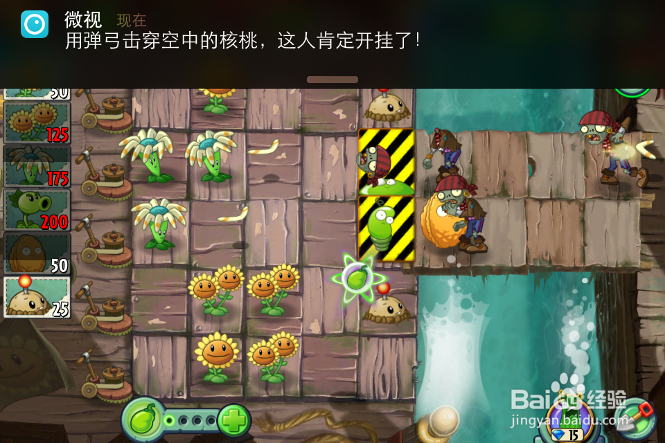 植物大战僵尸2:种子保卫战第1天(海盗港湾)