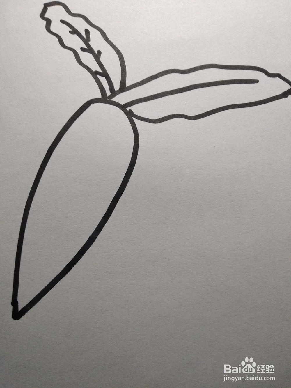 胡萝卜的简笔画怎么画