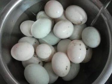 盐鸭蛋的几种做法