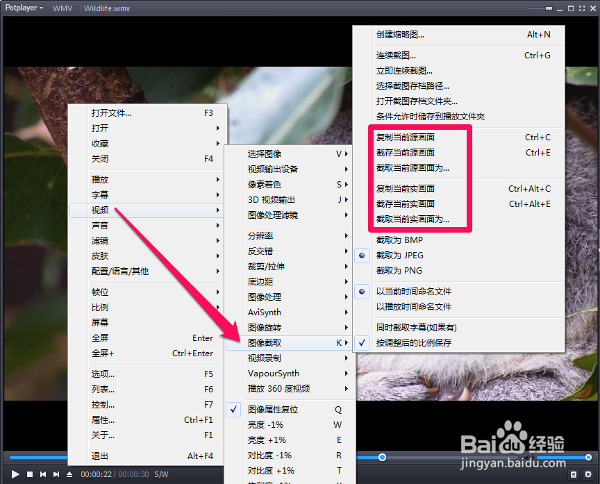 potplayer截图方法