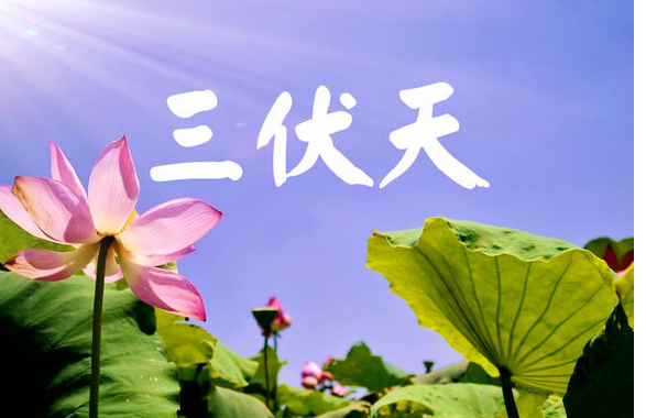 为什么一年中最热的时候是三伏