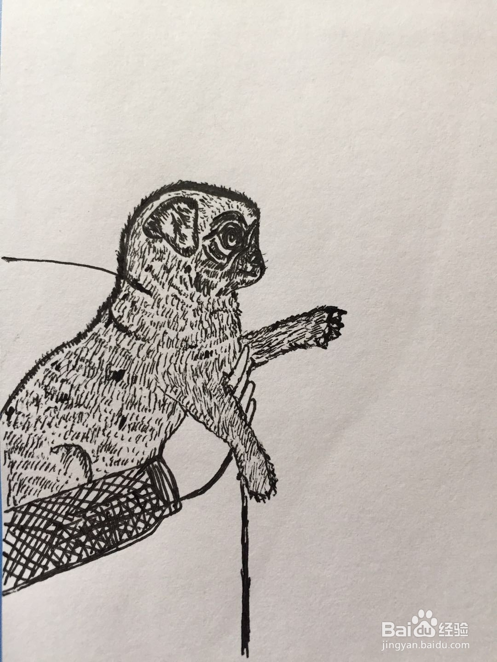 dxdll手绘之小狗