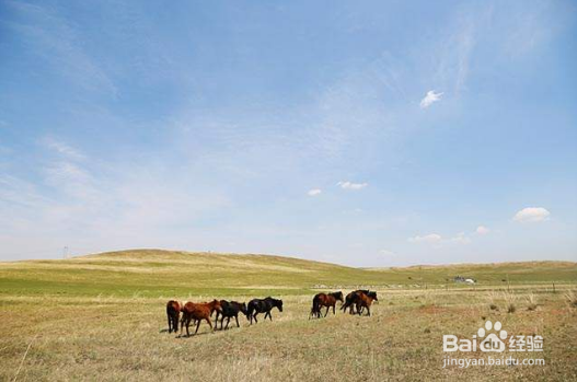 怎样提高手机摄影的水平