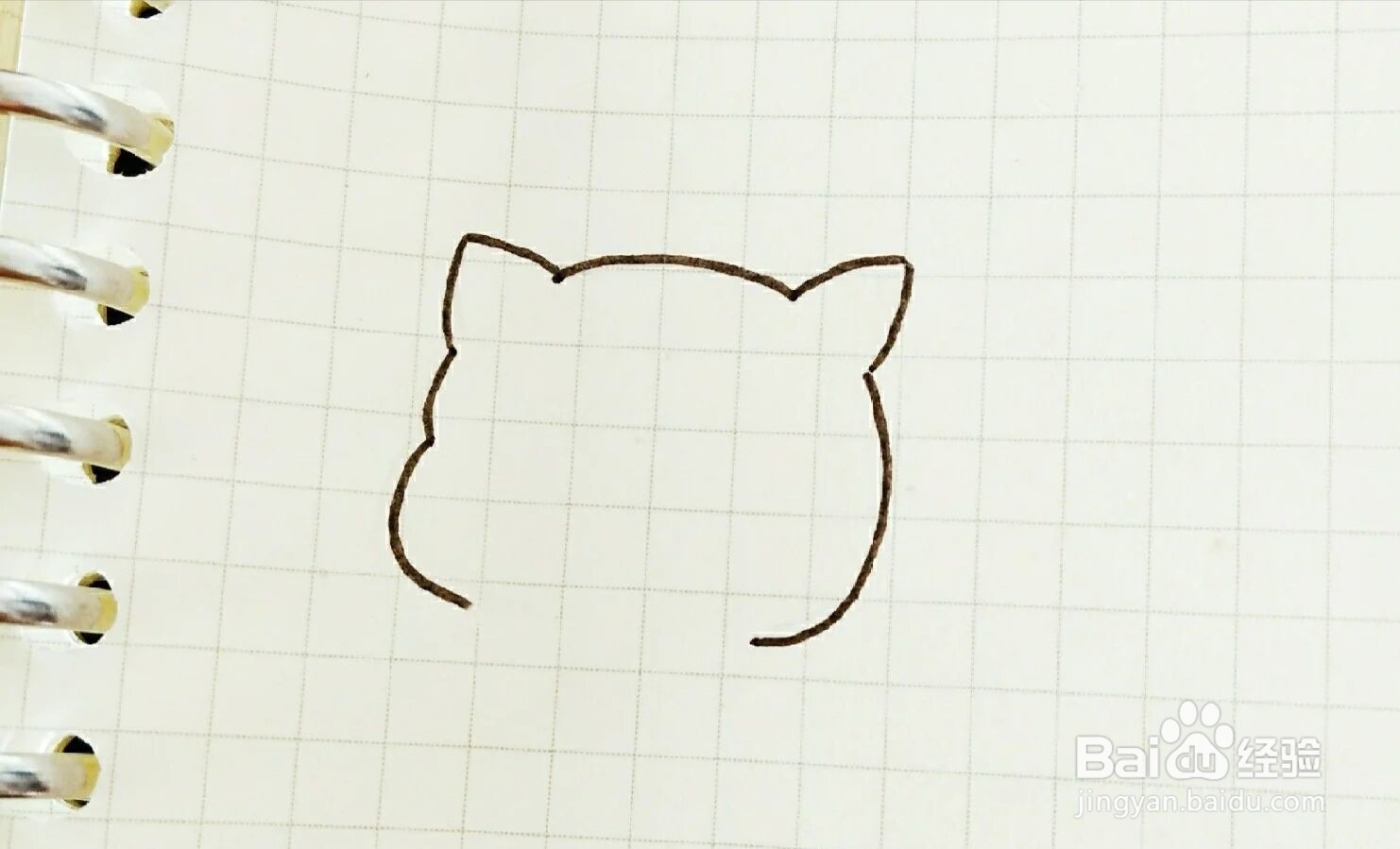 蜜桃猫简笔画教程