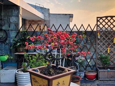 《读不完的大书》课文内容是什么