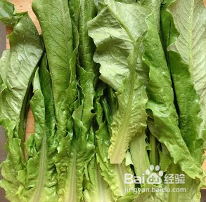 麻汁油麦菜的做法