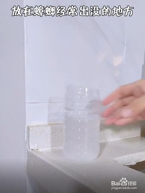 教你如何去除家中蟑螂