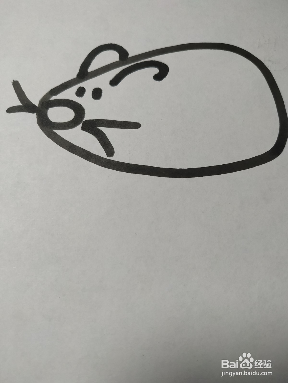 老鼠的简笔画技法37