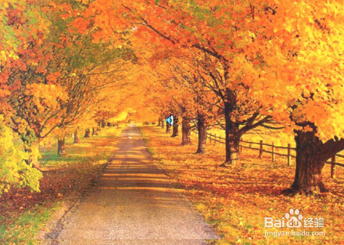 花毛茛种球种植方法