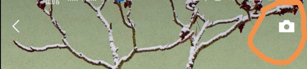 如何在发朋友圈的时候只发文字