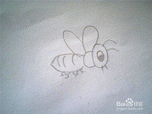 简笔画蜜蜂的画法