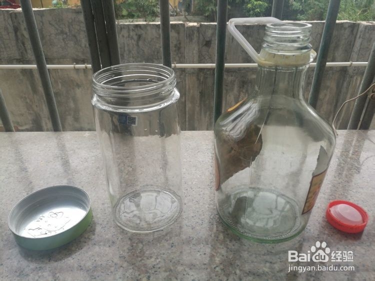 余甘果的正宗腌制方法