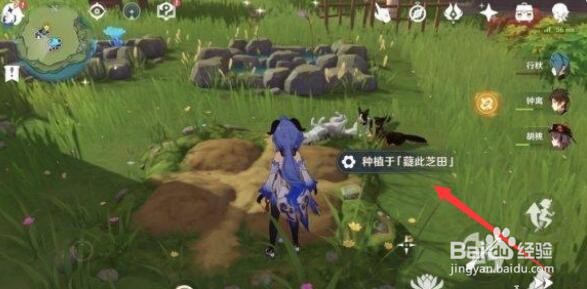 原神如何种花