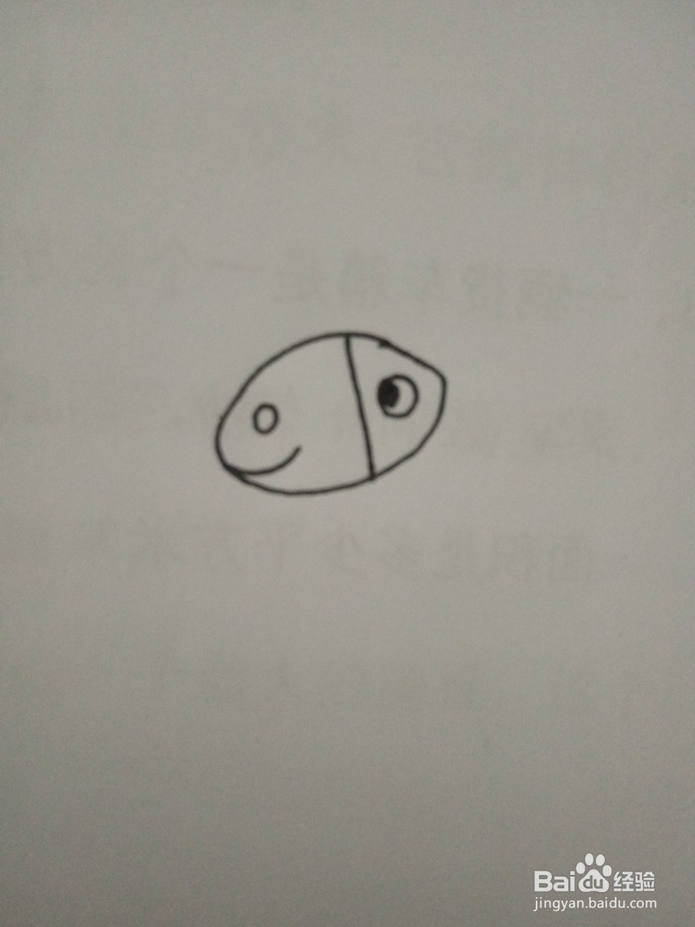 简笔画动物篇之毛驴