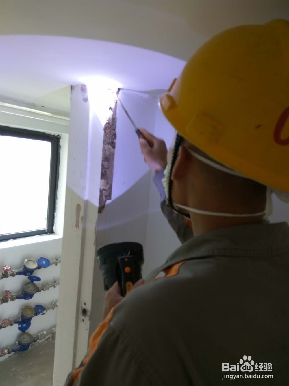 家里发现白蚁怎么办?灭白蚁最有效的方法!