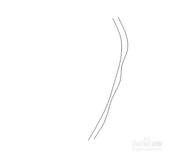 爬山虎的脚简笔画