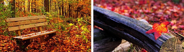 双城记 :悉尼+凯恩斯浪漫之旅