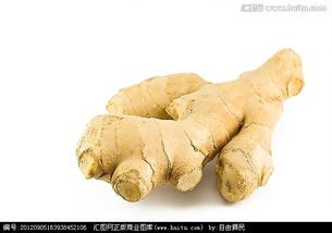 宝宝头发发量少什么原因？