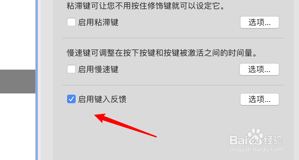 mac电脑怎么启用键入反馈功能