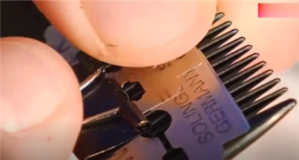 如何学会野外生存小技巧