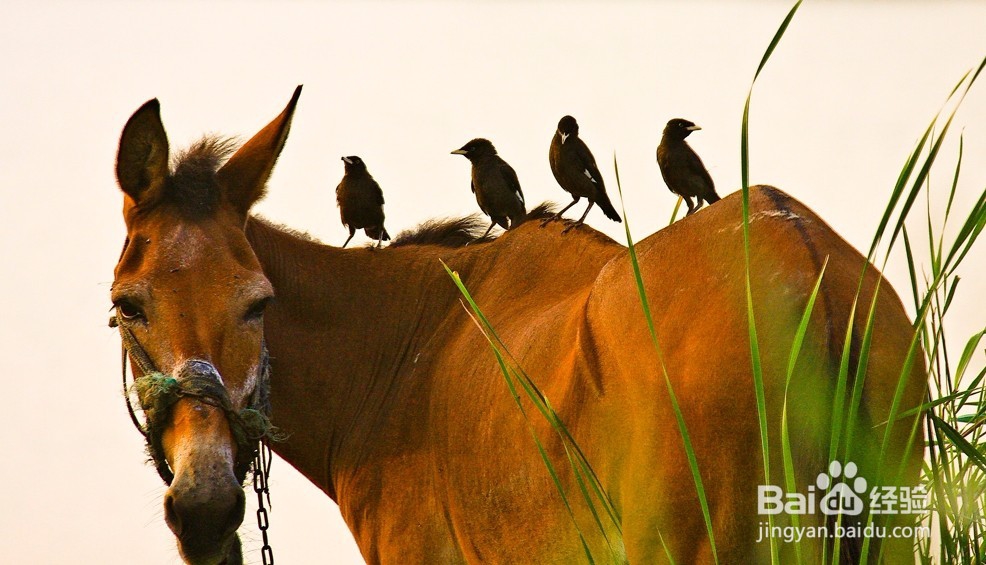 相亲约会怎么做才不会尴尬