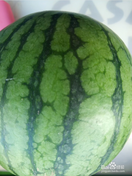橙味西瓜果冻的做法