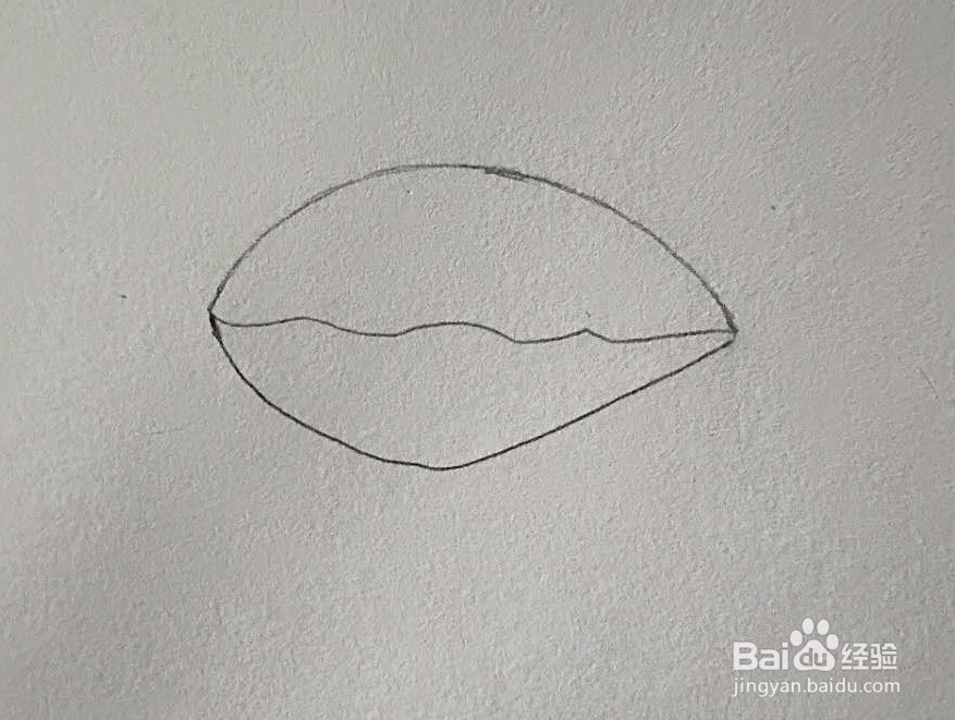 简笔画-怎么画贝壳