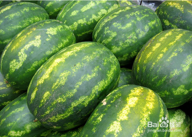 西瓜减肥的注意事项