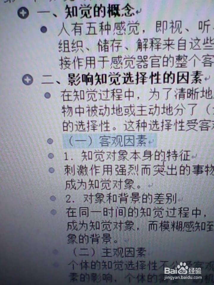 Word文档插入自动目录