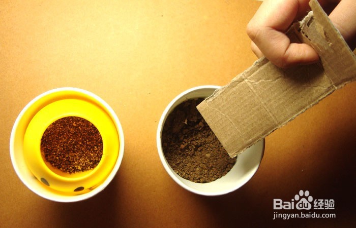 如何教孩子学会种小草