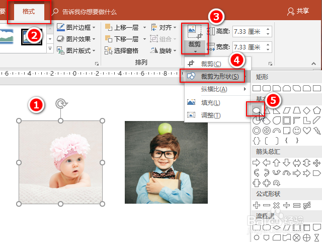 ppt怎么裁剪图片形状？图片怎么裁剪为任意形状