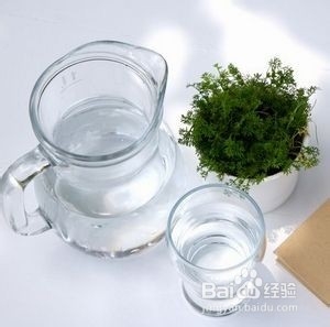 每天喝多少白开水最好喝多少白开水最好白开水