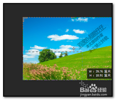 如何用photoshop截图?