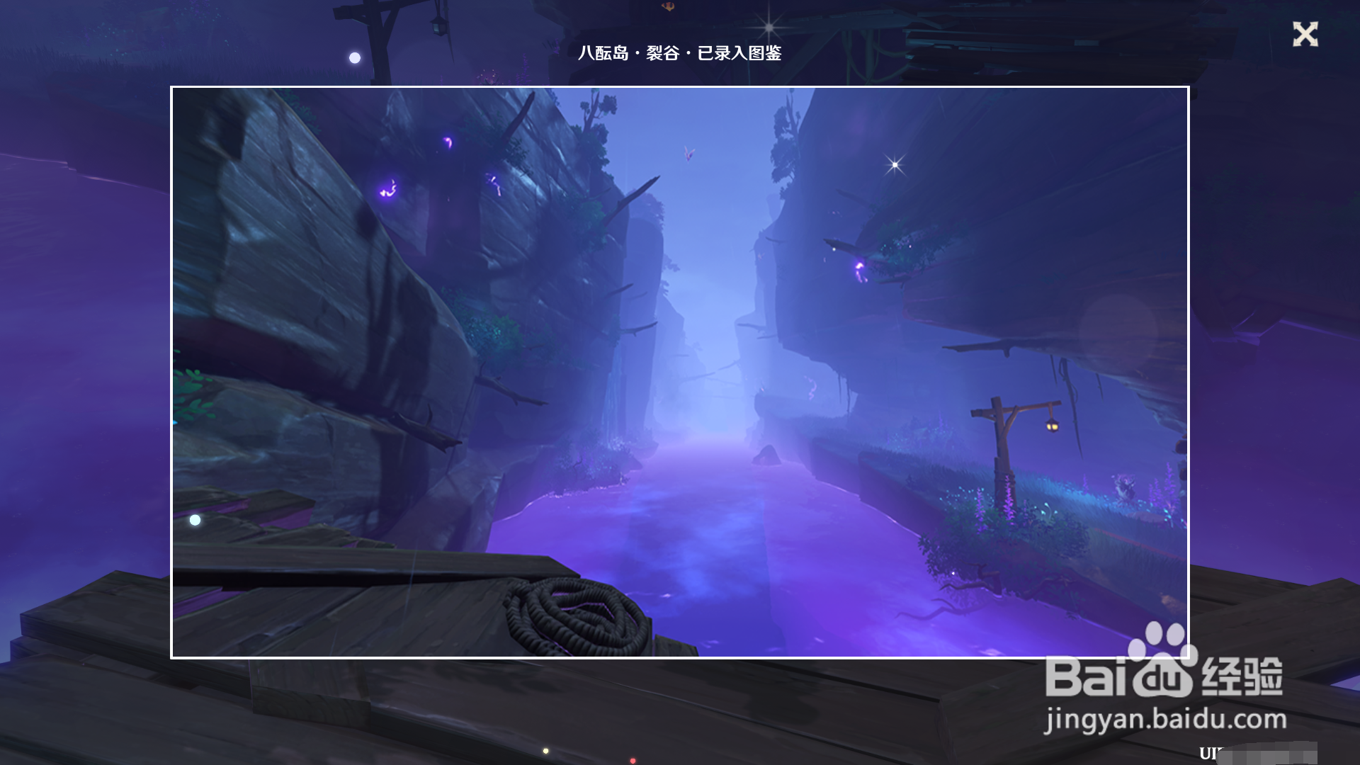 稻妻观景点二的位置。