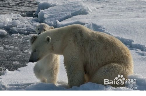 最常用的10种抑制孕吐的方法