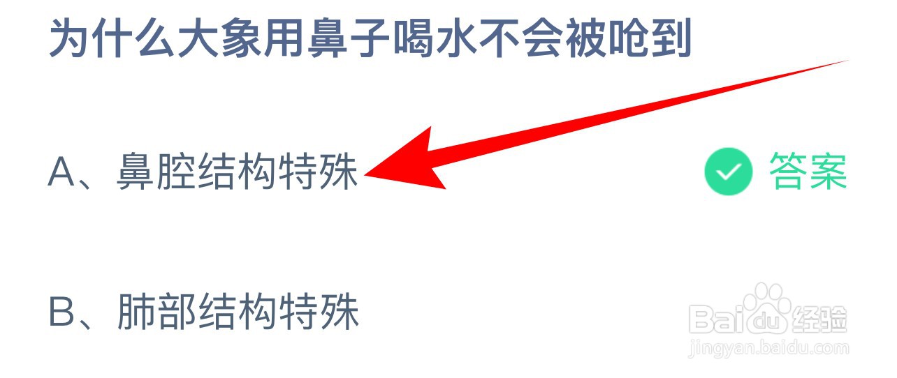 蚂蚁庄园:为什么大象用鼻子喝水不会被呛到