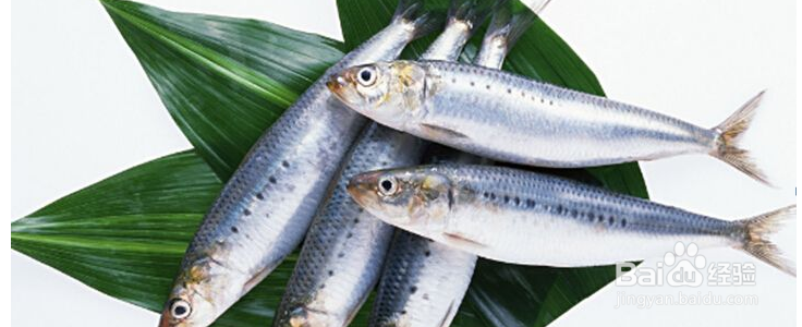 怎样用食疗养生保健眼睛？