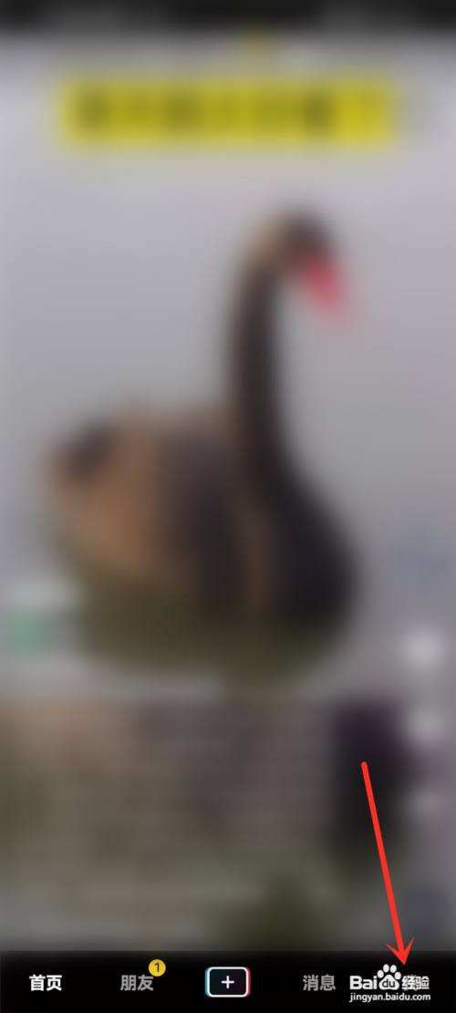 抖音公益活动如何参加