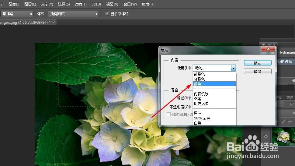 PS‘矩形选框工具’和‘编辑->填充操作’