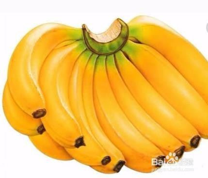 收到的玫瑰花束怎么养