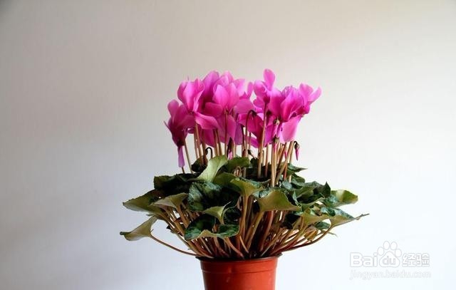 学会这几个小技巧,轻松改变土壤肥力!