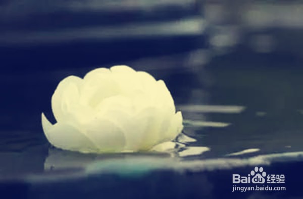 如何尊重幼儿学习与发展的整体性