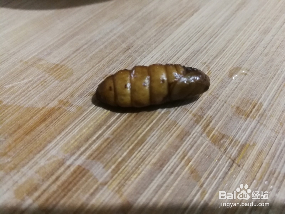 蜂蛹的功效与作用