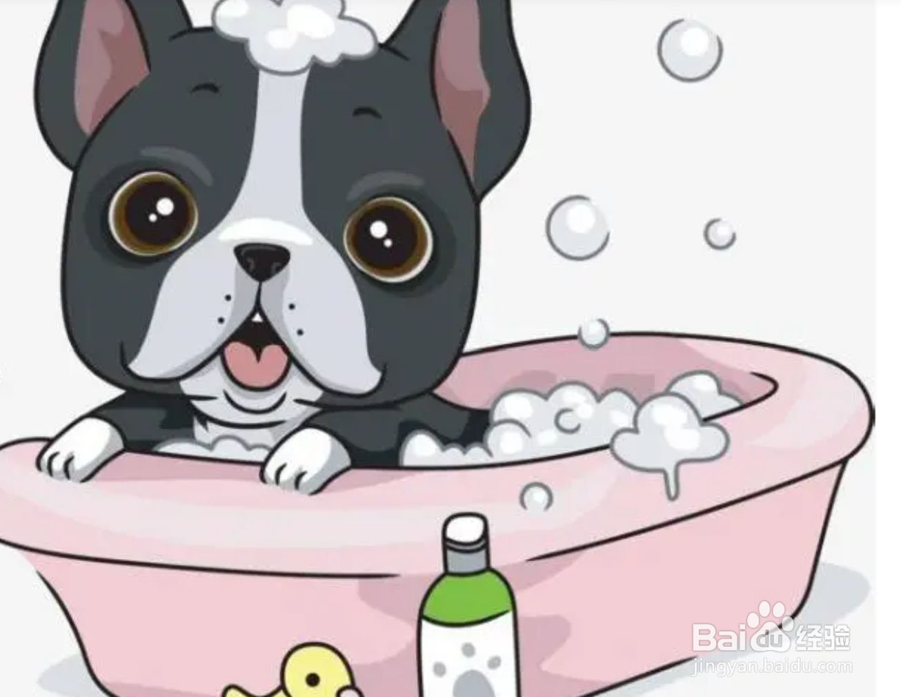 狗身上有白皮屑怎么办