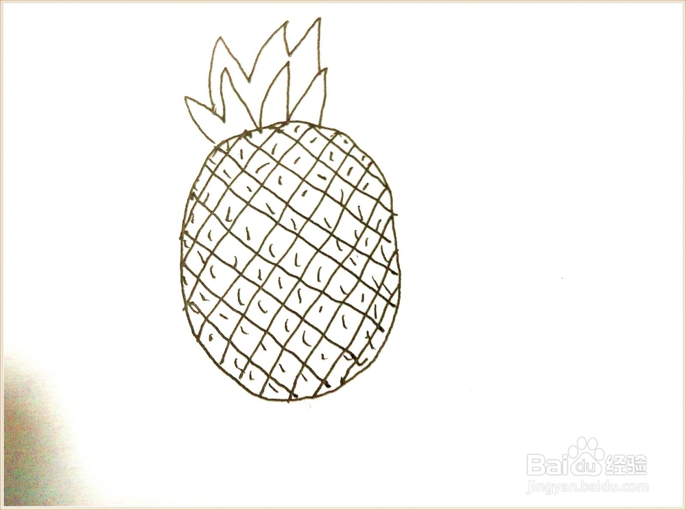 简笔画——菠萝
