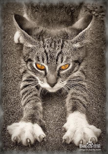 春季养生三重点