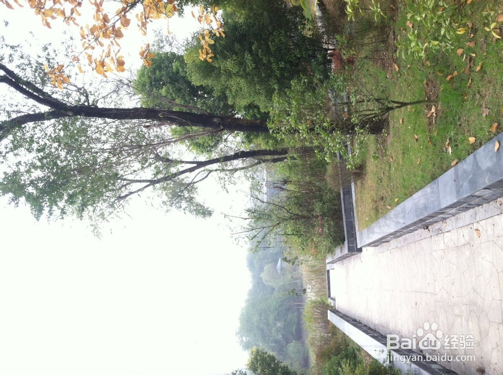 如何在冬季进行早锻炼，让心情愉悦