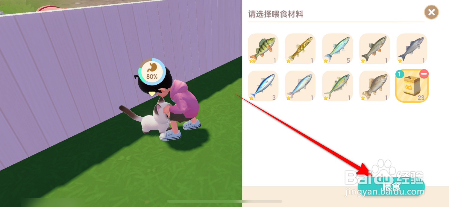 心动小镇怎么喂猫