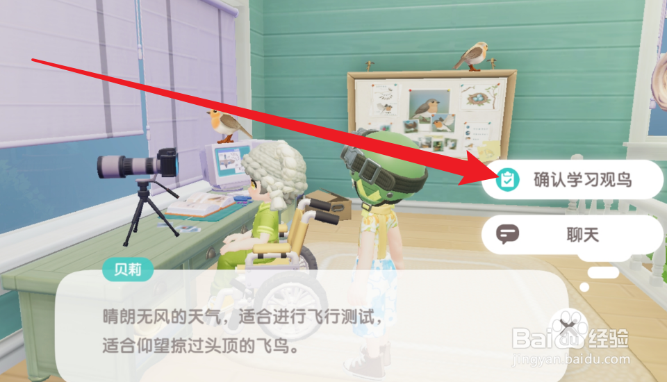 心动小镇怎么获得观鸟爱好