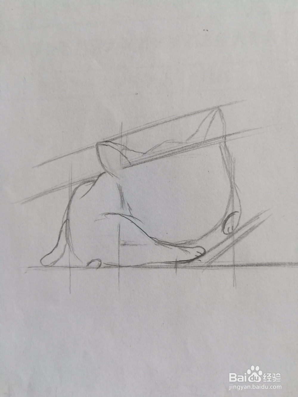 傲娇的小猫画法教程（2）——成型